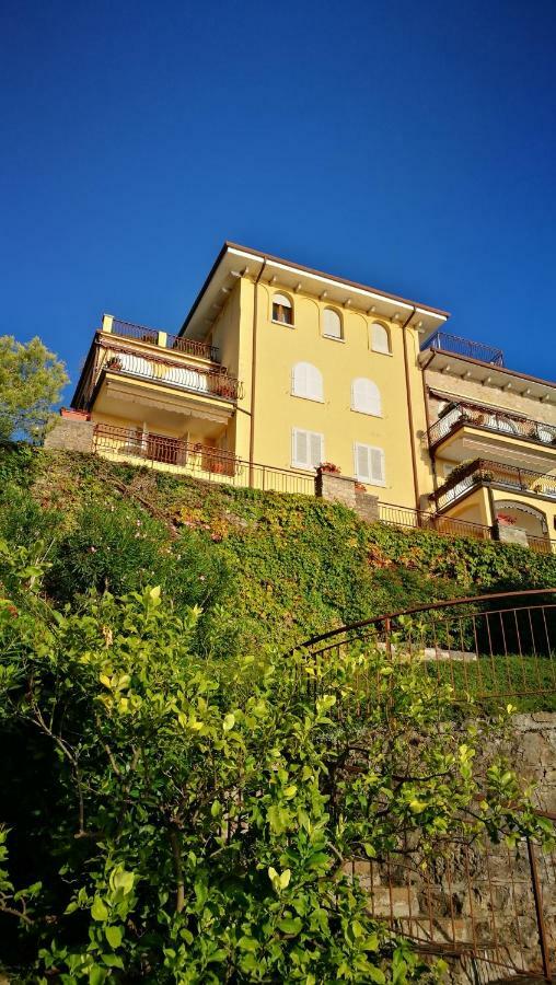 Bellavista Eremitaggio Apartment Torri Del Benaco Exterior photo